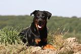 BEAUCERON 766